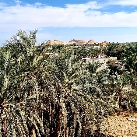 Quiet Home Siwa Oasis Exterior photo
